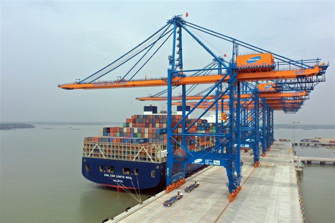 20250513090427633nganh-thuy-san-thieu-container-nghiem-trong-hon-ca-2076-1