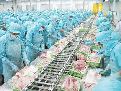 MINISTRIES AND BRANCHES TOGETHER TO REMOVE DIFFICULTIES FOR SEAFOOD ENTERPRISES
