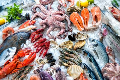 Vietnam’s Seafood Sector: A Record-Breaking Year in 2024