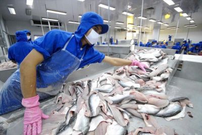 Vietnam’s Pangasius Captures Over Half of Colombia’s Whitefish Market