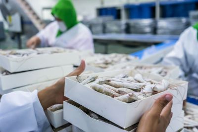 Vietnam Introduces New Rules for Determining Domestic Product Origin