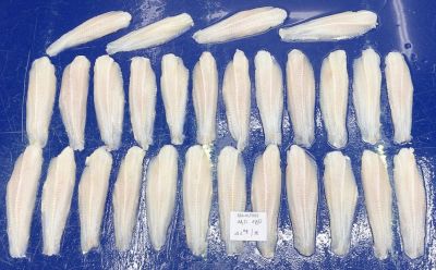 Pangasius Market in Tension: Rising Prices and Looming Shortages — What Comes Next?