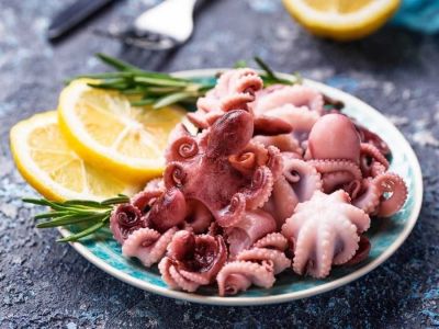 Squid and Octopus Exports Continue to Grow Steadily