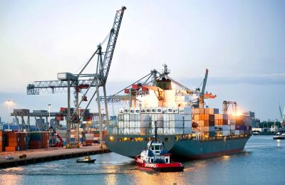 Seafood Industry: Container Shortage Poses Greater Threat Than Tariffs