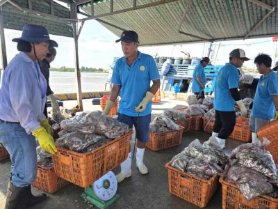 Vietnam Tightens Port Controls and Seafood Traceability to Combat IUU Fishing