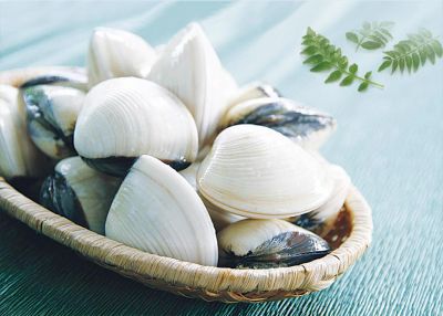 Vietnam’s Clam Exports Continue to Grow Steadily